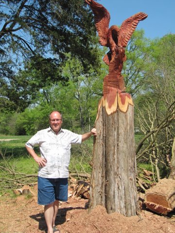 tree eagle