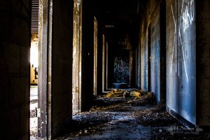guest post