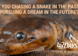 Don't Chase the Snake -- A Look at Employee Revenge