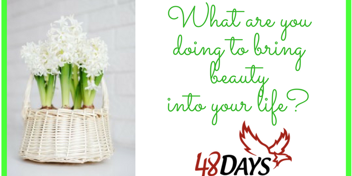 What are you doing to brig beauty into your life What are you doing to brig beauty into your life