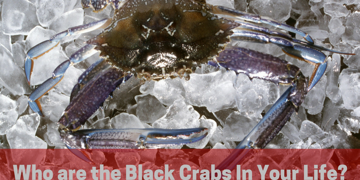 Be careful who you allow to influence your thinking and actions! Dan explores why successful people surround themselves with others who lift them up.