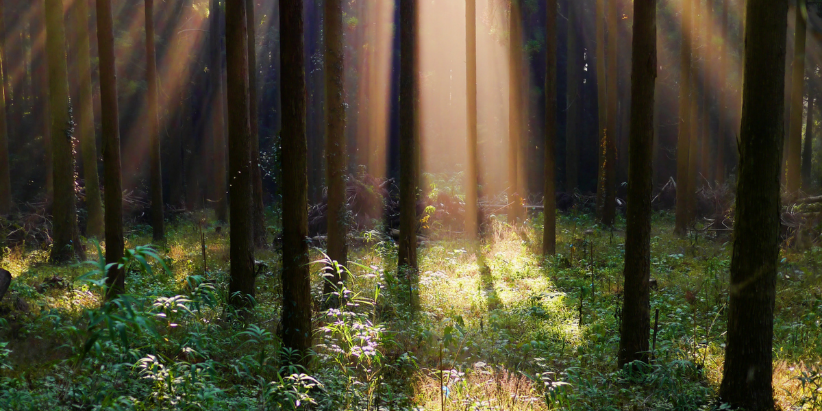 Untitled design (86) time to dream