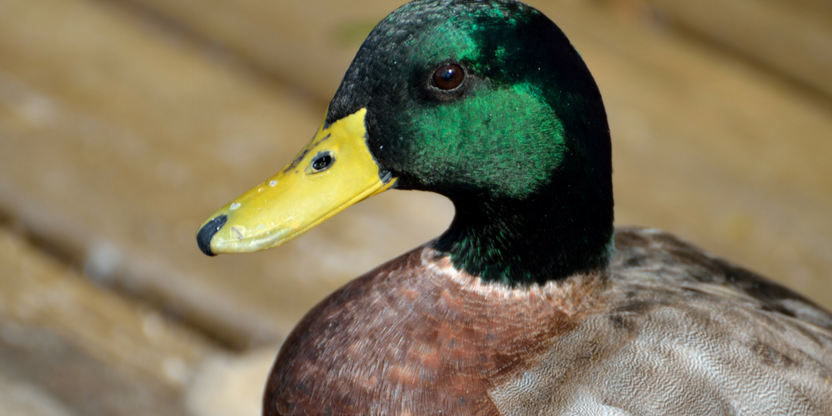 Discover your strengths