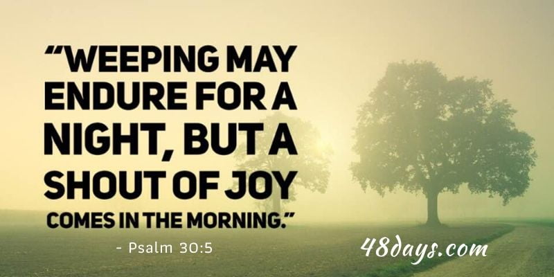 win the day win the day