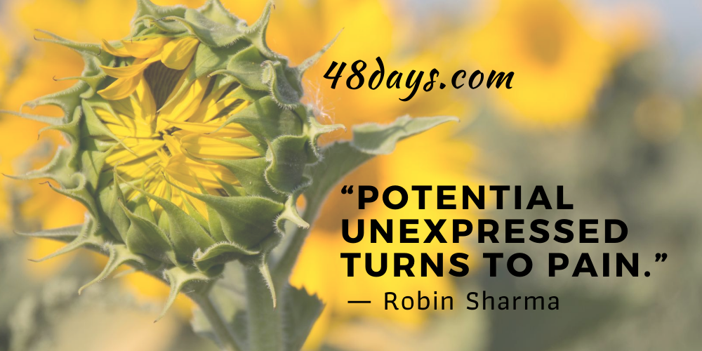 stages of life stages of life