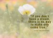 dream