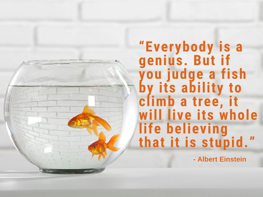 apply what you learn