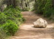 overcome obstacles